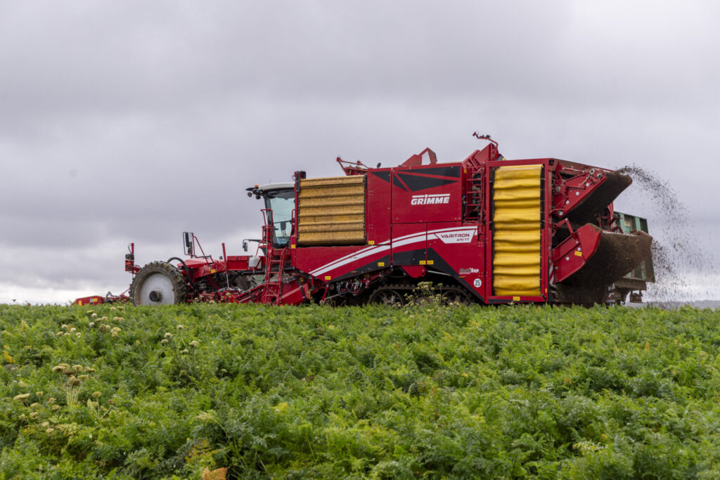 Family Farm Ptasiński – uprawy i produkcja suszonych warzyw