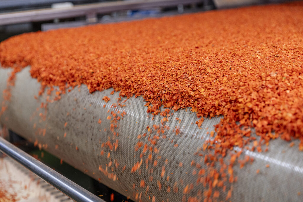 Family Farm Ptasiński – uprawy i produkcja suszonych warzyw